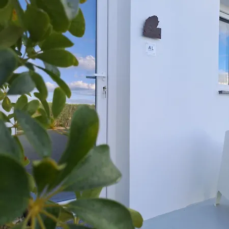 Penawoods * A dos Cunhados